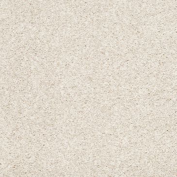 Godfrey-Hirst Enduring Elements Carpet in Chenille, , large
