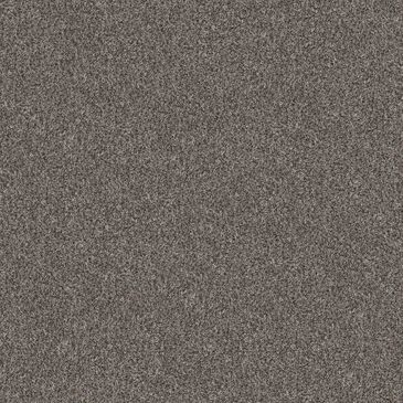 Shaw Yes You Can II Carpet in Marble, , large