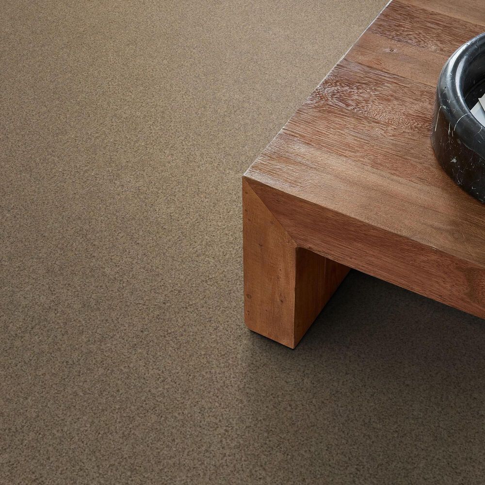 Anderson Tuftex West Peak Carpet in Terrazo, , large