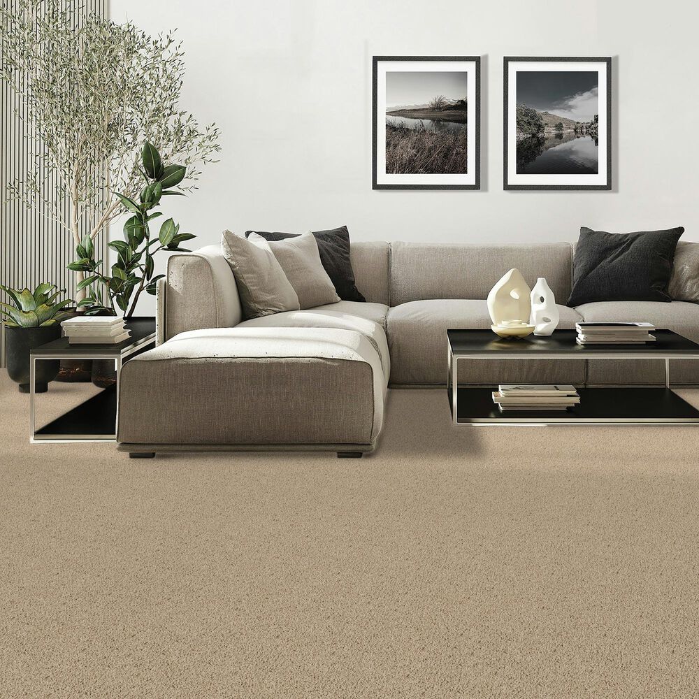 Mohawk Diffurent Choice III Carpet in Sandy beach, , large