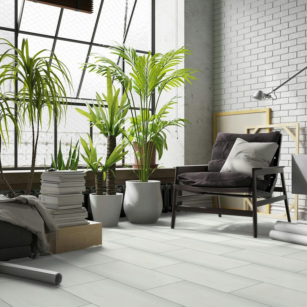 Emser Prodigy Agnesi 12&quot; x 24&quot; Polished Porcelain Tile, , large