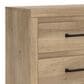 Ashley Brozmont Queen Panel Bed with Dresser Chest and 2 Nightstands, , large