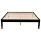Linon Home Decor Polly Queen Platform Bed in Bold Black, , large