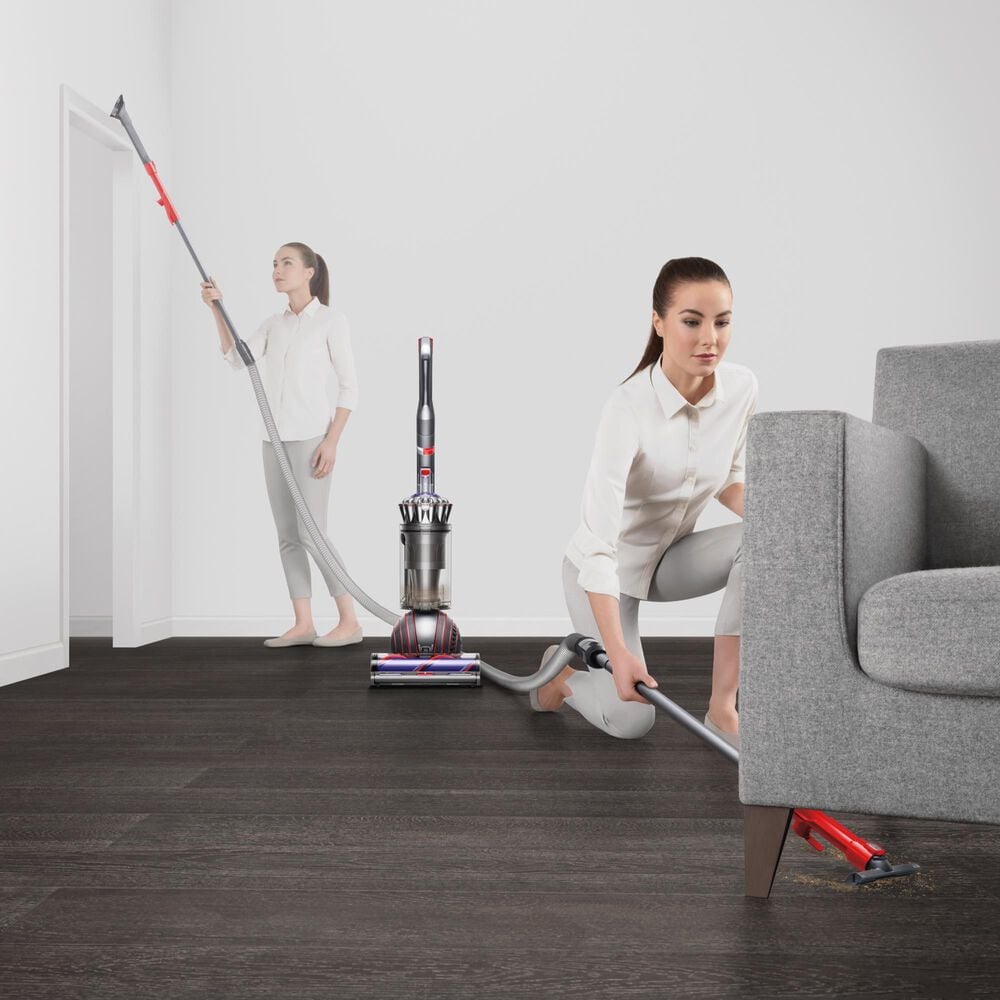 Dyson Ball Animal 3 Extra Corded Vacuum in Nickel and Silver, , large