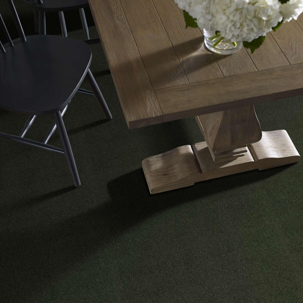 Shaw Luxuriant Carpet in Hidden Valley, , large