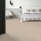 Anderson Tuftex Appreciation Carpet in Ridgeway Walk, , large