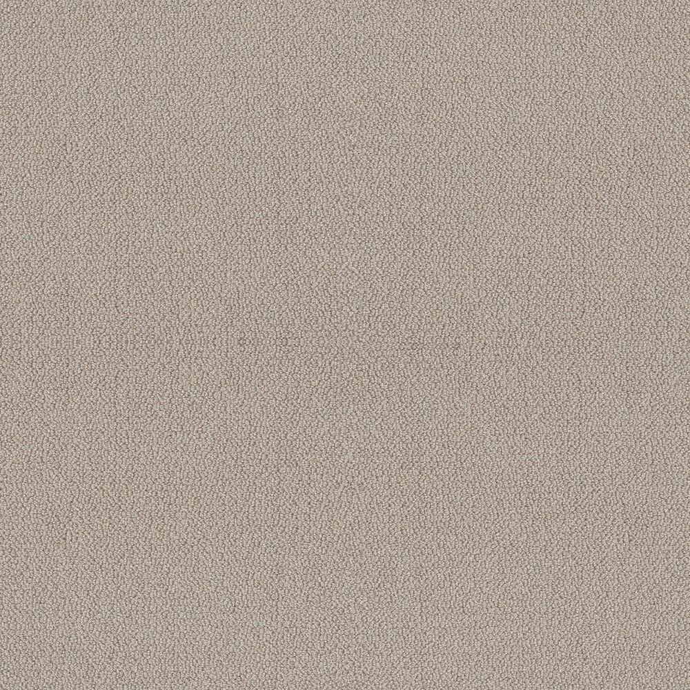 Shaw Embellished Carpet in Birch, , large