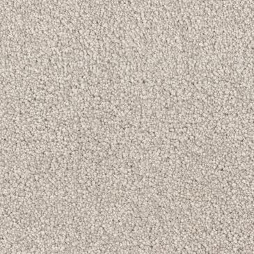 Dixie Home Gentle Wind Carpet in Sand Dollar, , large