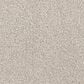 Dixie Home Gentle Wind Carpet in Sand Dollar, , large