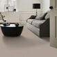Shaw Grand Influence I Carpet in Pebble, , large