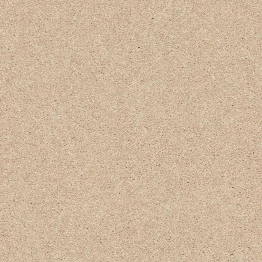 Mohawk Quality Feeling Carpet in Scroll, , large