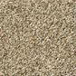 Shaw Tonal Comfort Blue Carpet in Honey Tea, , large