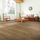 Mohawk Pergo Extreme Wider Longer Cinnamon 10" x 70" Luxury Vinyl Plank, , large