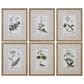 Uttermost Botanical Study Prints (Set of 6), , large