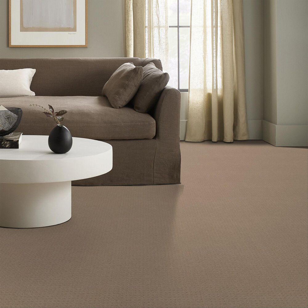 Anderson Tuftex West Coast Carpet in Spanish Sand, , large
