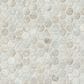 Shaw Embrace Olive Wash 10.63" x 11.88" Glass Mosaic Sheet, , large
