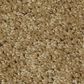 Shaw Keen Senses II Carpet in Warmth, , large