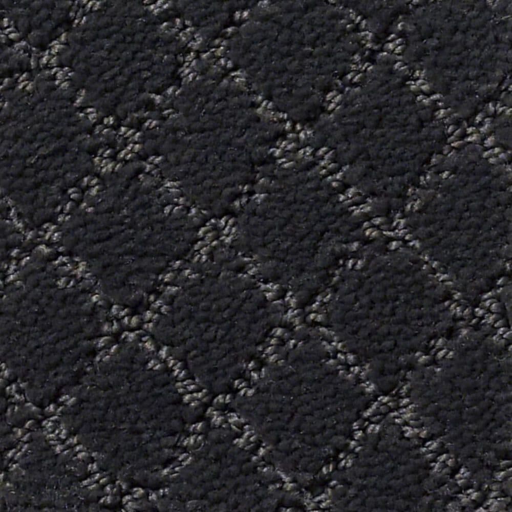 Anderson Tuftex Off Leash Carpet in Night Shade, , large