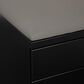 Valor Living Mobile File with Padded Seat in Black, , large