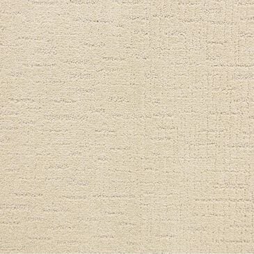 Dixie Home Courage Carpet in Winfall, , large