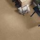 Anderson Tuftex Contour Carpet in Folklore, , large