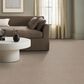Anderson Tuftex Bali Carpet in Big Stone, , large