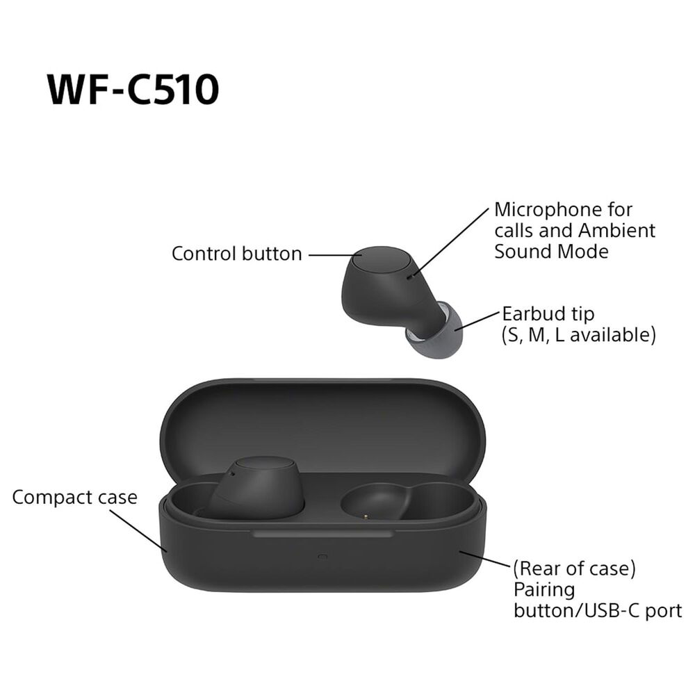 Sony Truly Wireless Earbuds in Black, , large