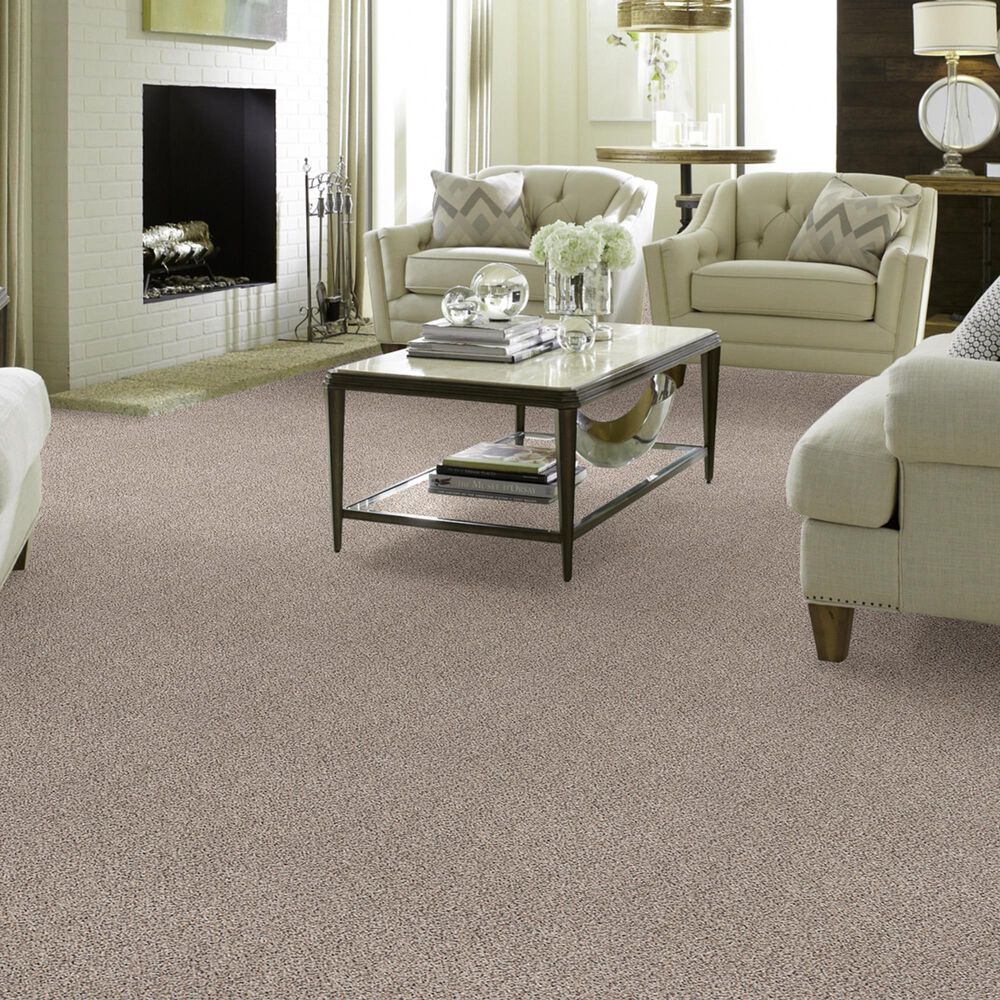Shaw Foundations Take The Floor Accent I Carpet in Riverbed, , large