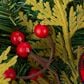 The Gerson Company 24" Holiday Pine Wreath with Berries, Bow in Green, Red and Black, , large