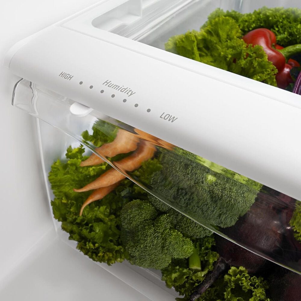 Amana 22 Cu. Ft. Bottom-Freezer Refrigerator with Large Capacity, , large