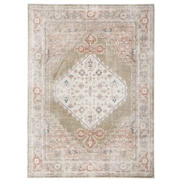 Nourison Astra Machine Washable 7"10" x 10" Sage and Multicolor Area Rug, , large