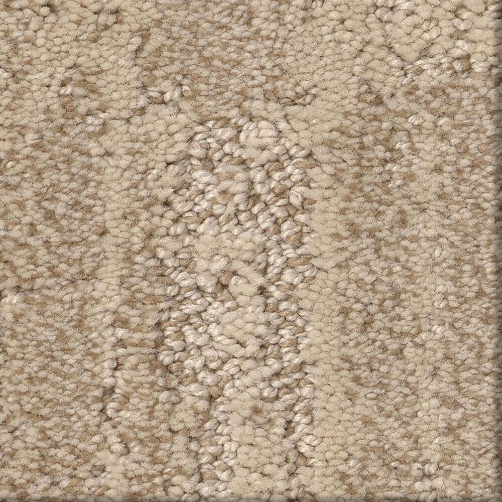Anderson Tuftex Trace Carpet in Medallion, , large