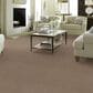 Anderson Tuftex Caress Cozy Harbor I Carpet in Natural Beauty, , large