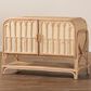 Baxton Studio Gitano 2-Door Rattan Storage Cabinet in Natural, , large