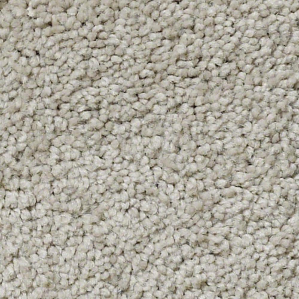 Anderson Tuftex Pawparazzi II Carpet in Mocha Cream, , large