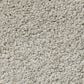Anderson Tuftex Pawparazzi II Carpet in Mocha Cream, , large