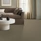 Anderson Tuftex Enchanting Carpet in Slate, , large