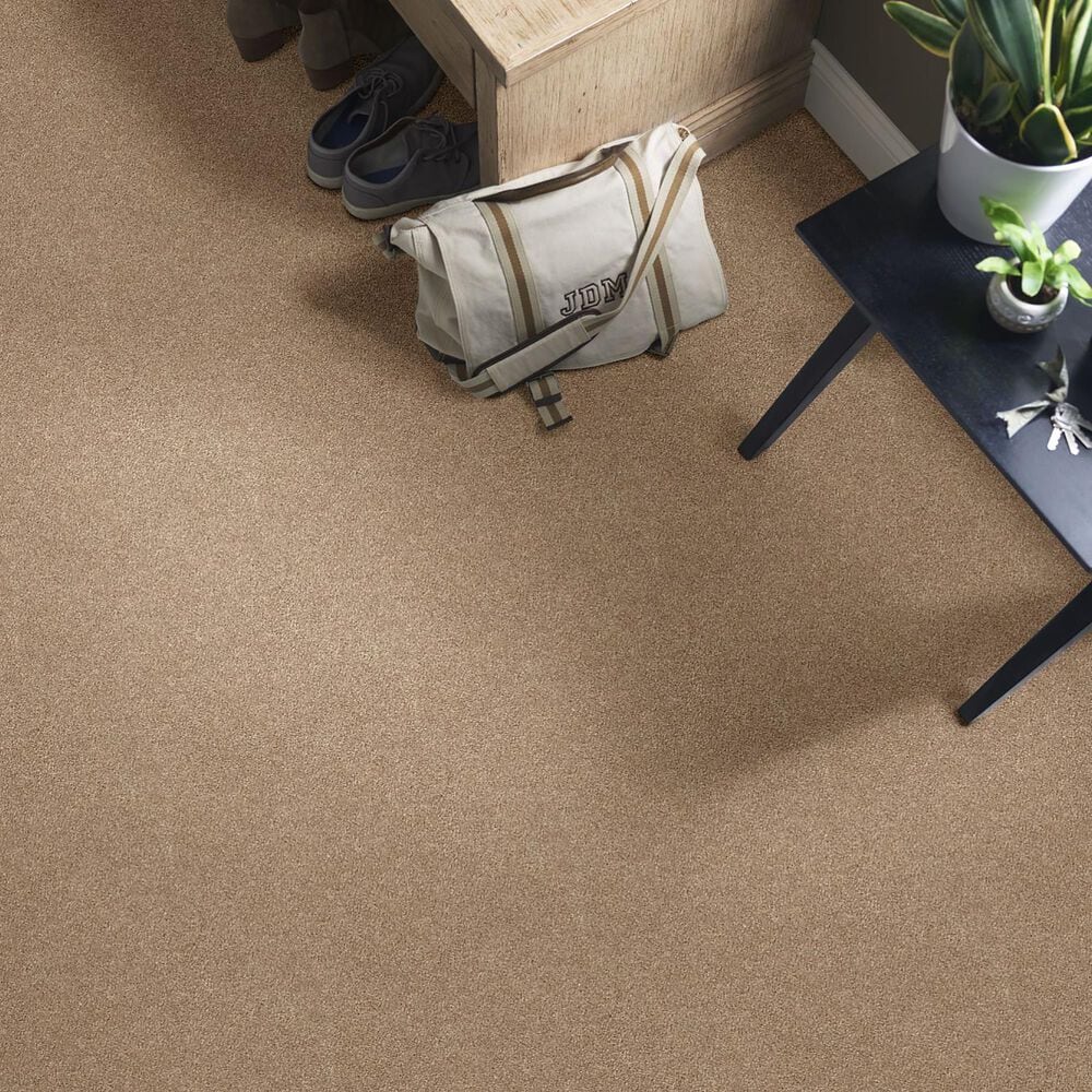 Shaw Sfa Find Your Comfort NS II Carpet in Falling Leaves, , large