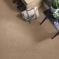 Shaw Sfa Find Your Comfort NS II Carpet in Falling Leaves, , large