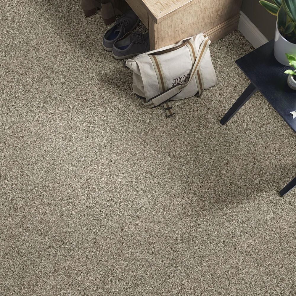 Shaw Shake It Up Carpet in Owl, , large