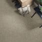 Shaw Shake It Up Carpet in Owl, , large