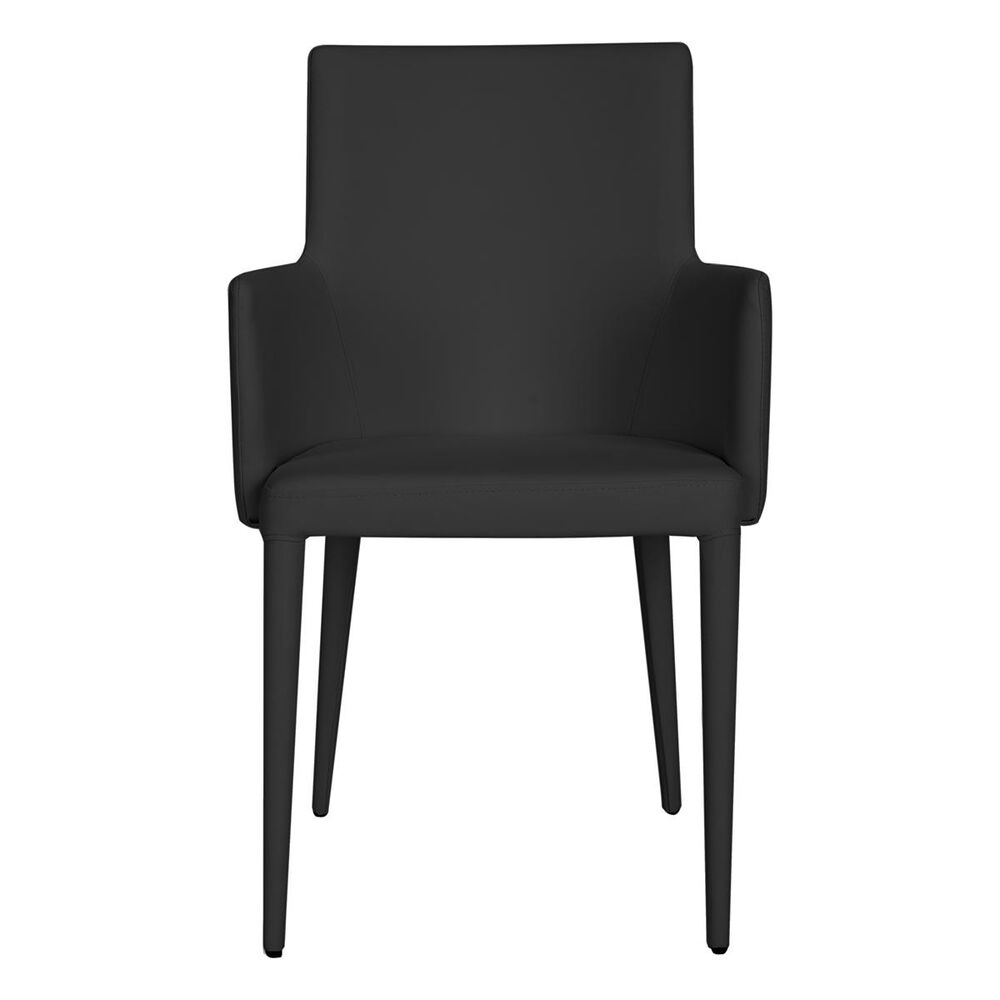 Safavieh Fox Summerset Arm Chair in Black, , large