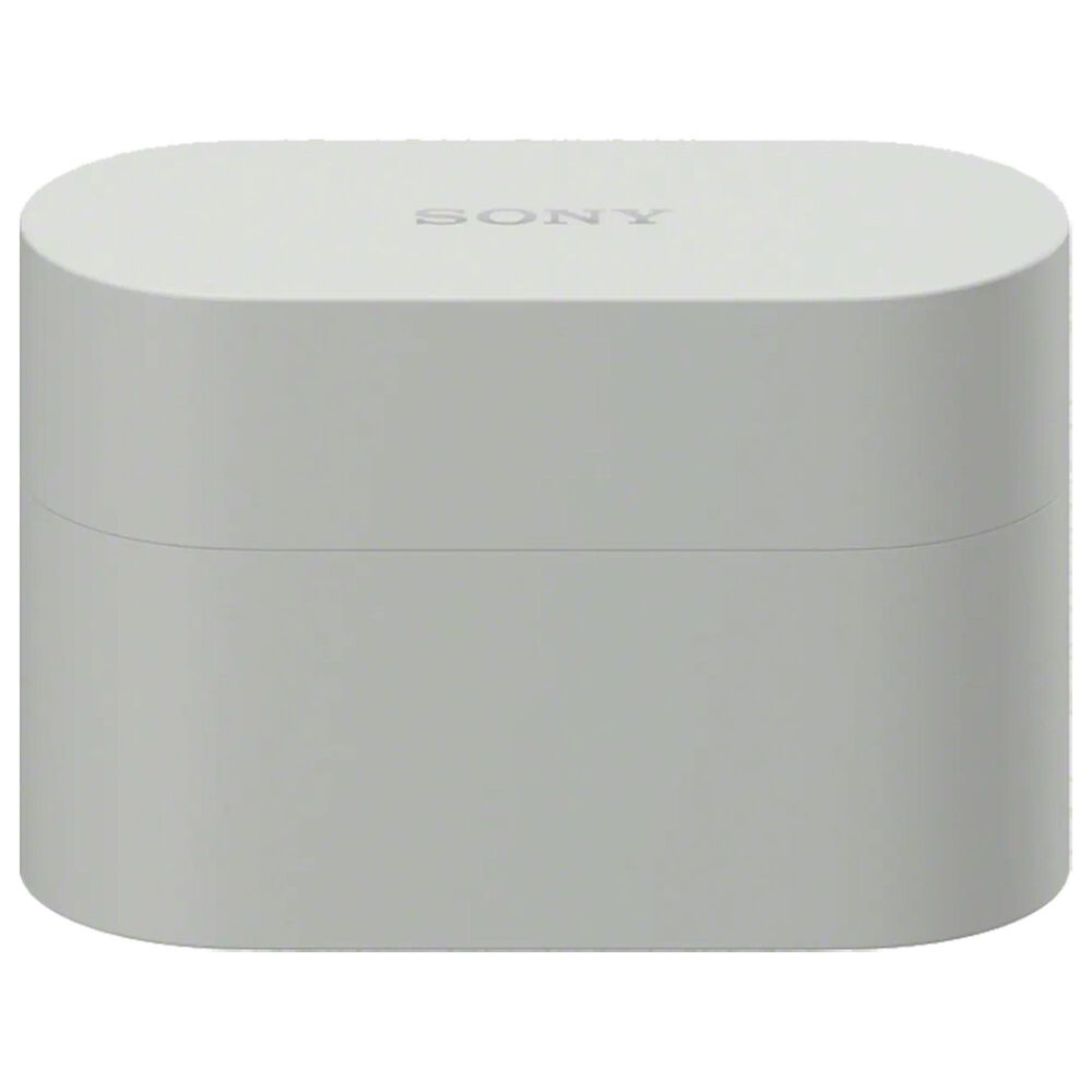 Sony True Wireless Noise Canceling Earbuds in Silver, , large