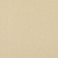 Karastan Captivating Charisma Carpet in Canvas, , large