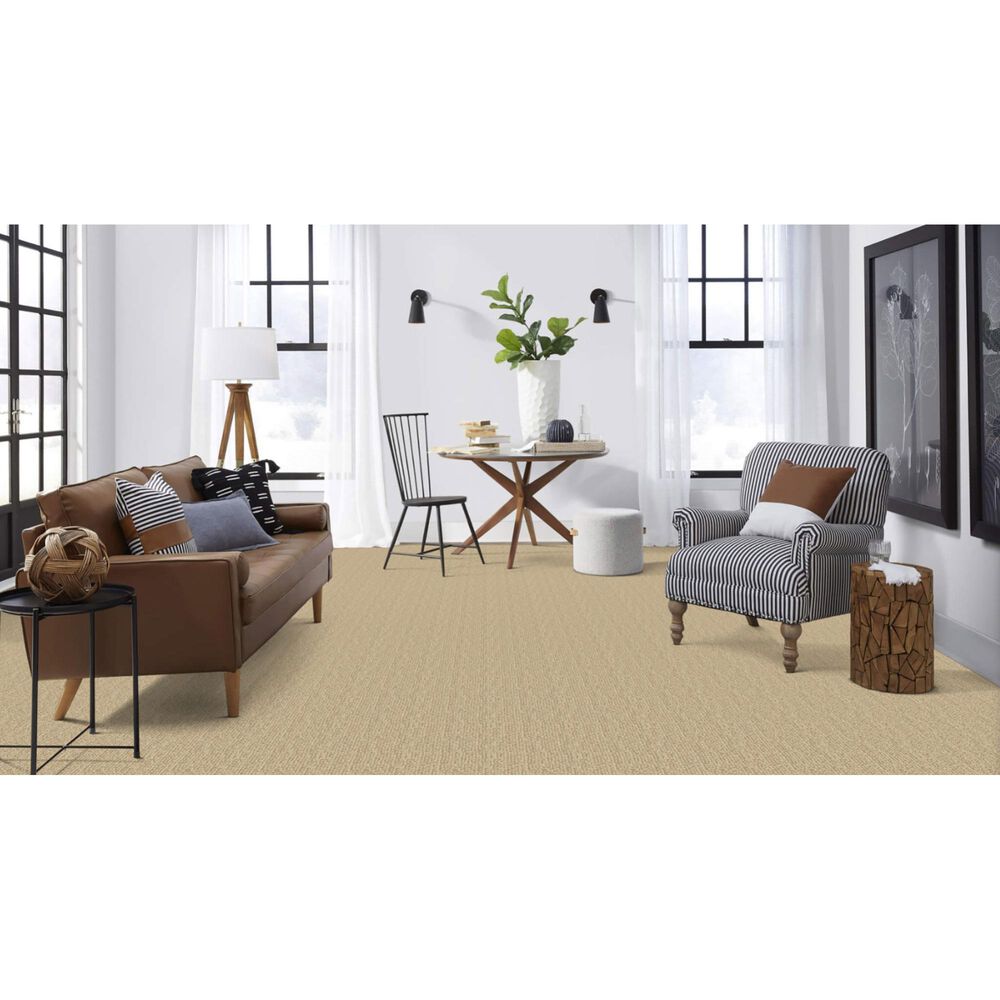 Masland Mesa Verde Carpet in Coventry, , large