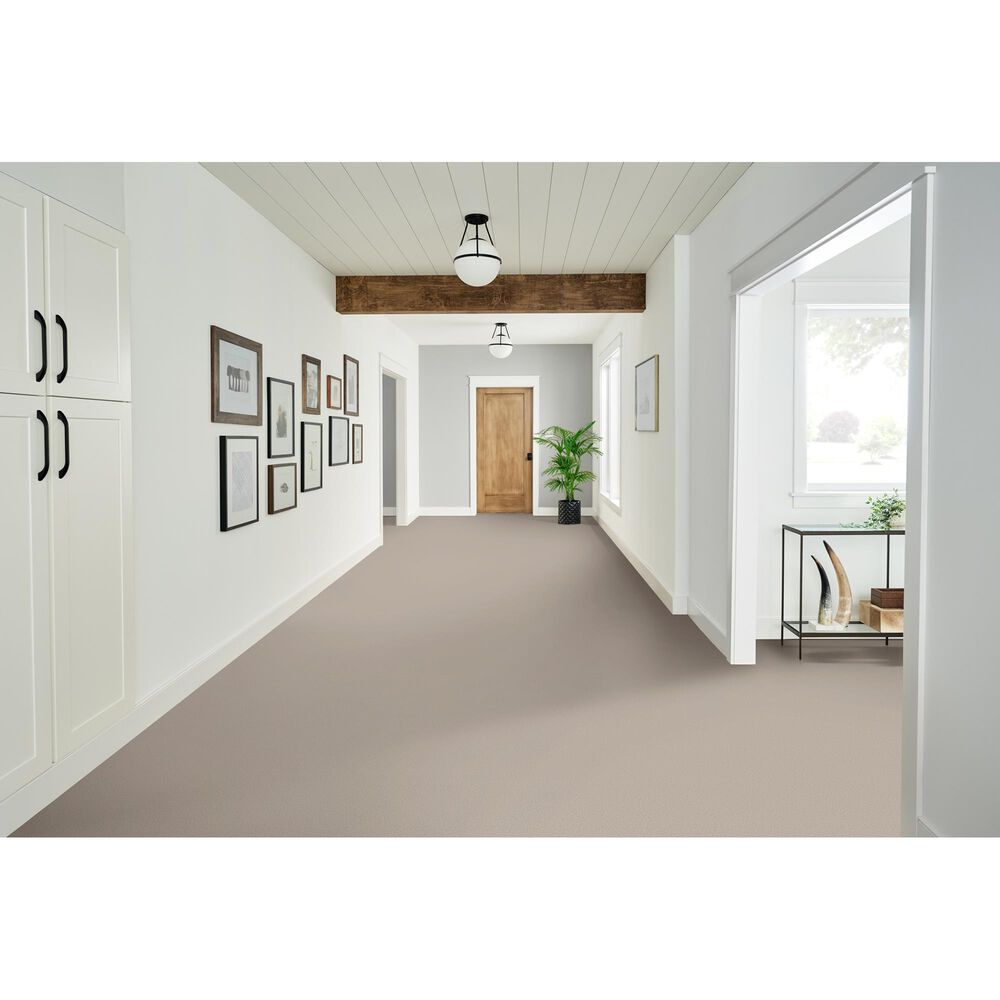 Phenix Emerson Carpet in Trendsetter, , large