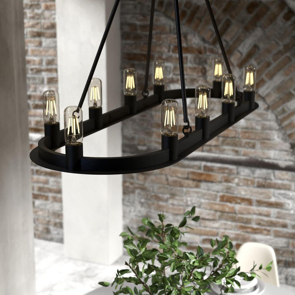 Hunter Saddlewood 10-Light Chandelier in Natural Iron, , large
