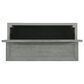 Martin Svensson Home Beach House Lift Top Trunk Coffee Table in Dove Grey, , large