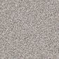 Revolution Mills Rainier Carpet in Olympia, , large