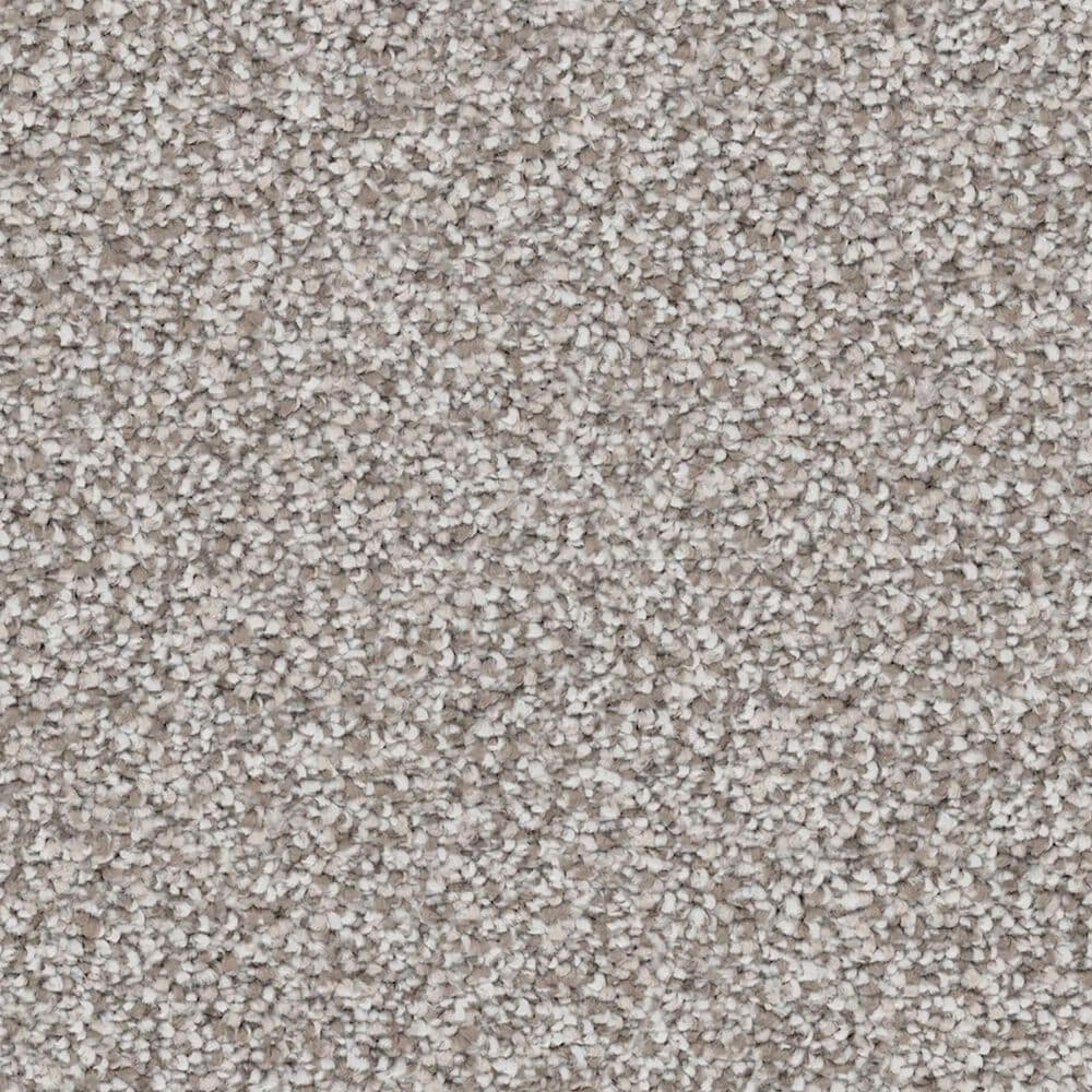 Revolution Mills Rainier Carpet in Olympia, , large